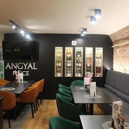 Angyal Panzio Bed and Breakfast Hajdúszoboszló
